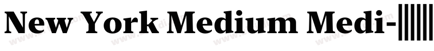 New York Medium Medi字体转换